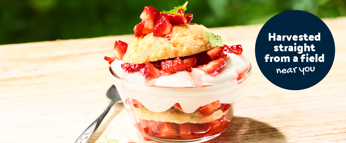Granny’s summer strawberry shortcake