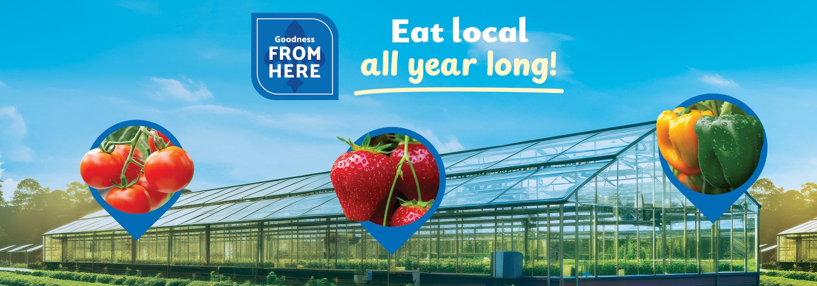 Eat local all year long