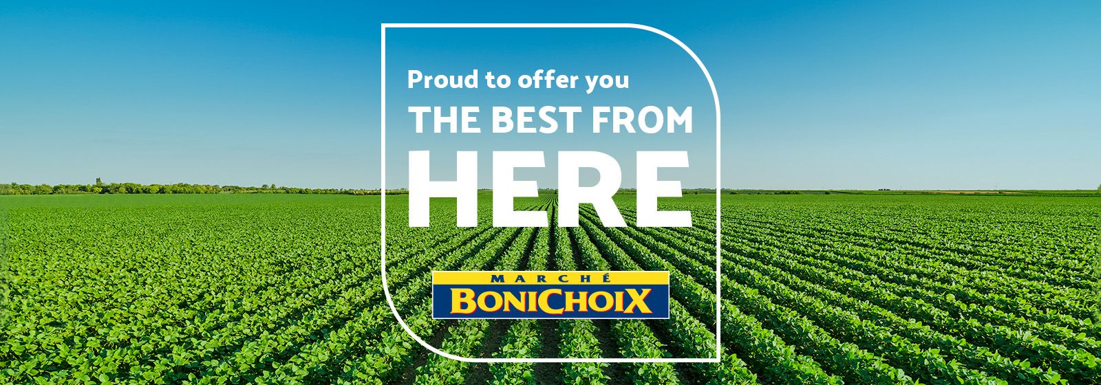Proud to offer you the best form.